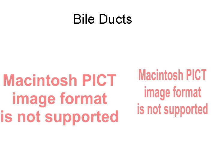 Bile Ducts 