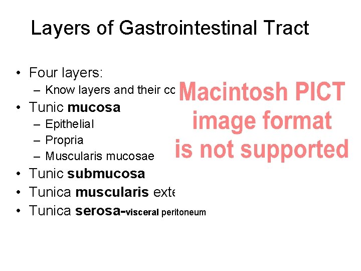 Layers of Gastrointestinal Tract • Four layers: – Know layers and their composition •