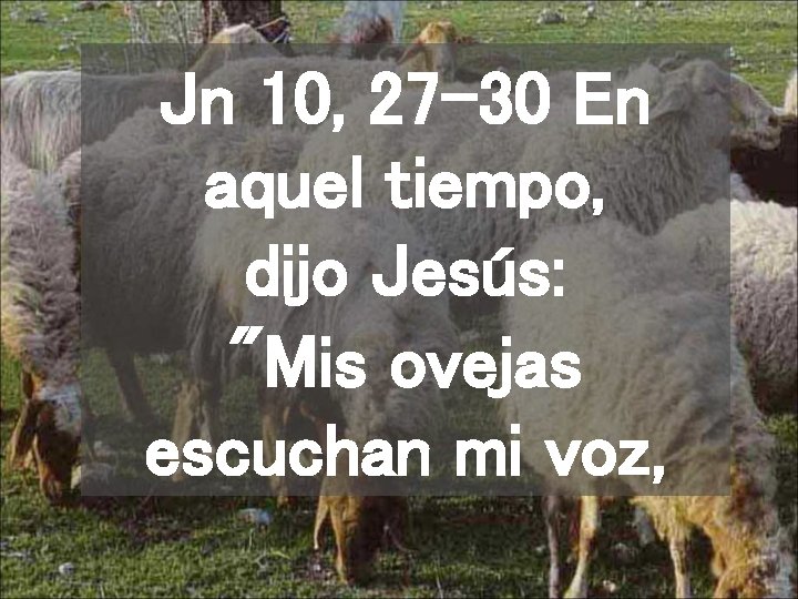 Jn 10, 27 -30 En aquel tiempo, dijo Jesús: "Mis ovejas escuchan mi voz,