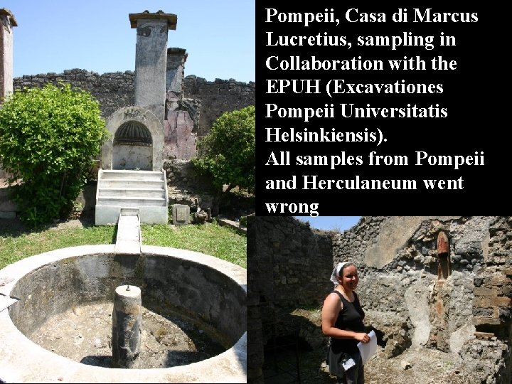 Pompeii, Casa di Marcus Lucretius, sampling in Collaboration with the EPUH (Excavationes Pompeii Universitatis