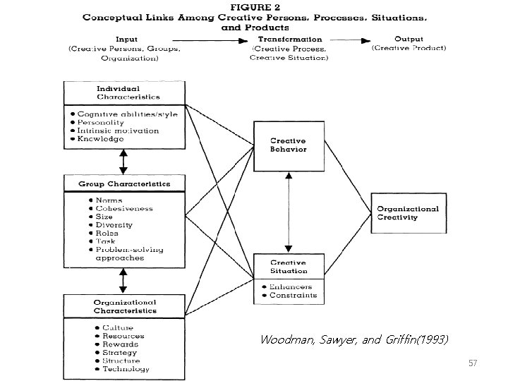 Woodman, Sawyer, and Griffin(1993) 57 
