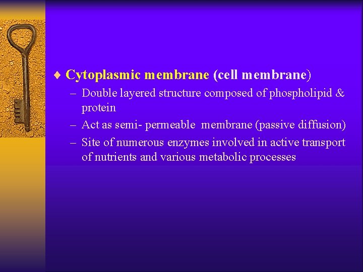 ¨ Cytoplasmic membrane (cell membrane) – Double layered structure composed of phospholipid & protein