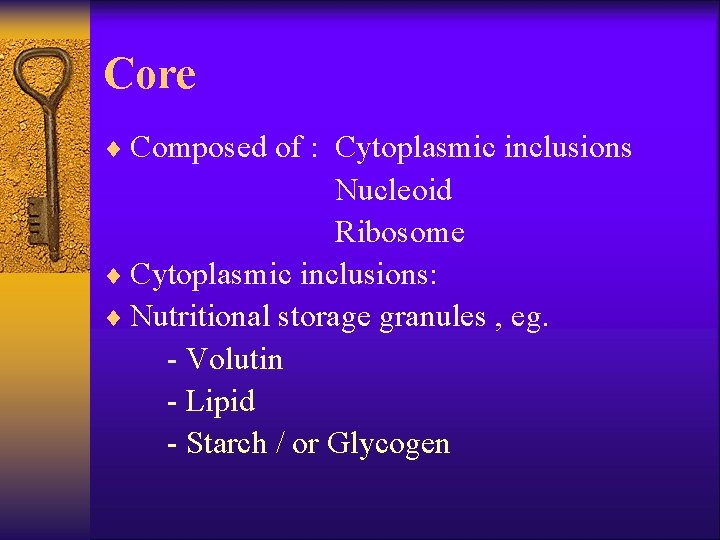 Core ¨ Composed of : Cytoplasmic inclusions Nucleoid Ribosome ¨ Cytoplasmic inclusions: ¨ Nutritional