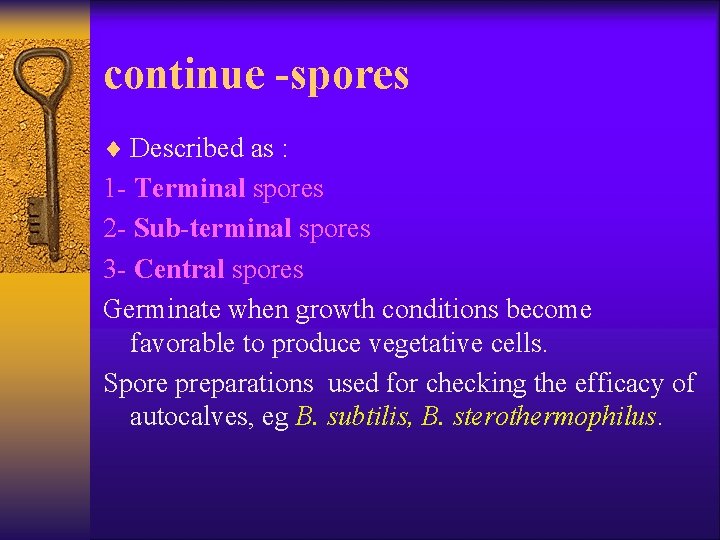 continue -spores ¨ Described as : 1 - Terminal spores 2 - Sub-terminal spores