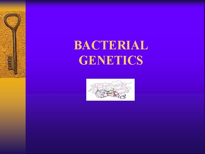 BACTERIAL GENETICS 