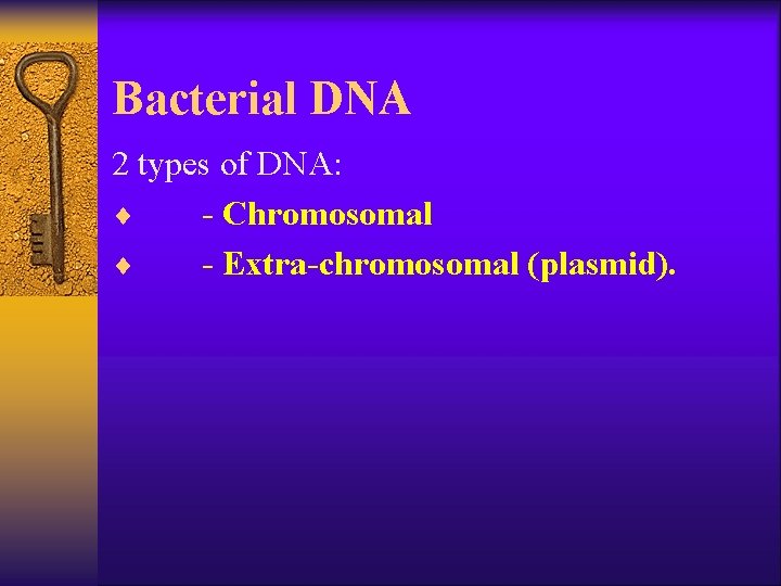 Bacterial DNA 2 types of DNA: ¨ - Chromosomal ¨ - Extra-chromosomal (plasmid). 