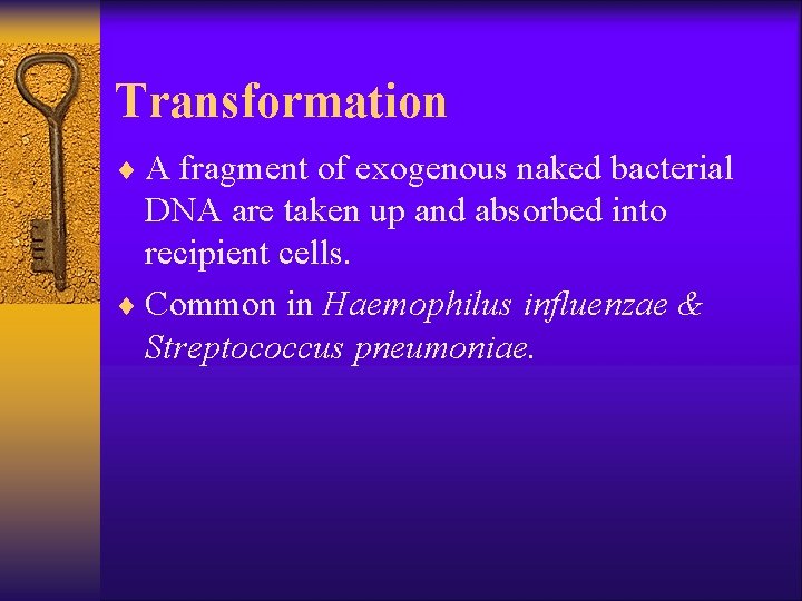 Transformation ¨ A fragment of exogenous naked bacterial DNA are taken up and absorbed