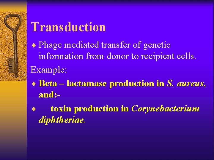 Transduction ¨ Phage mediated transfer of genetic information from donor to recipient cells. Example: