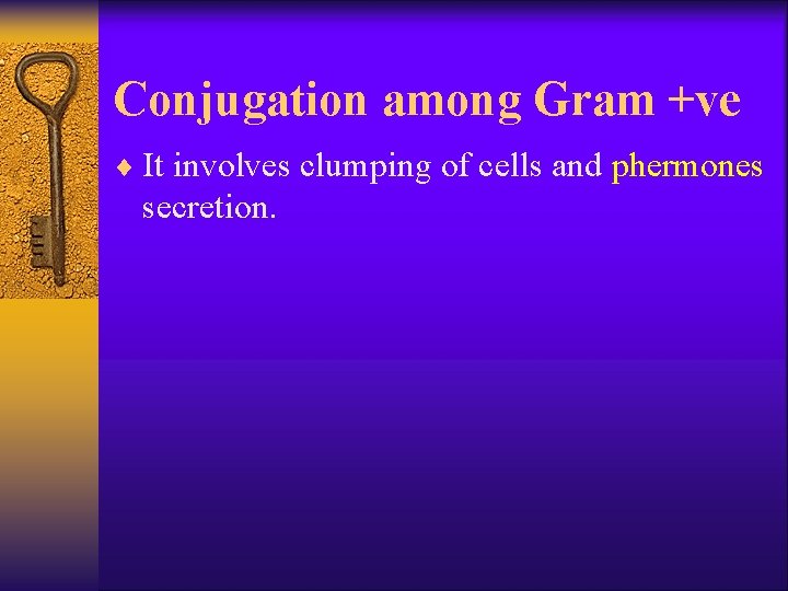 Conjugation among Gram +ve ¨ It involves clumping of cells and phermones secretion. 