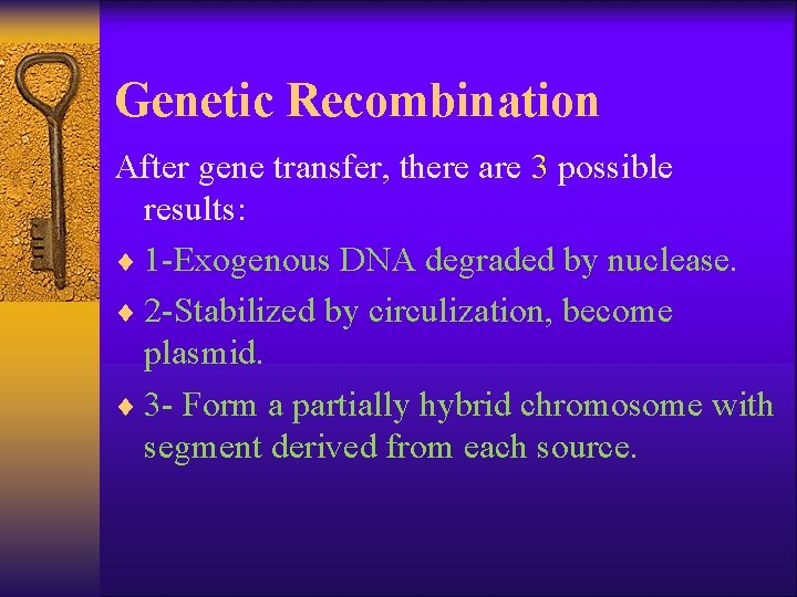 Genetic Recombination After gene transfer, there are 3 possible results: ¨ 1 -Exogenous DNA