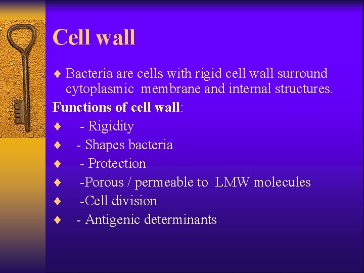 Cell wall ¨ Bacteria are cells with rigid cell wall surround cytoplasmic membrane and