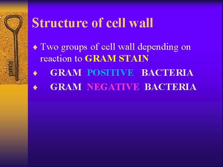 Structure of cell wall ¨ Two groups of cell wall depending on reaction to