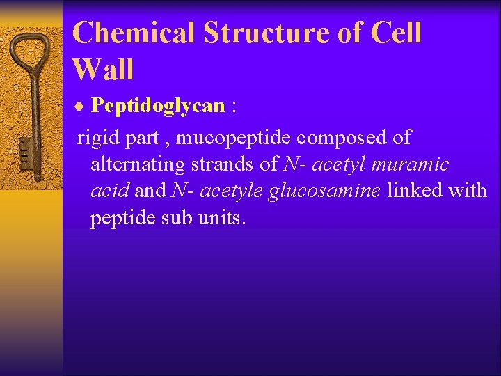 Chemical Structure of Cell Wall ¨ Peptidoglycan : rigid part , mucopeptide composed of