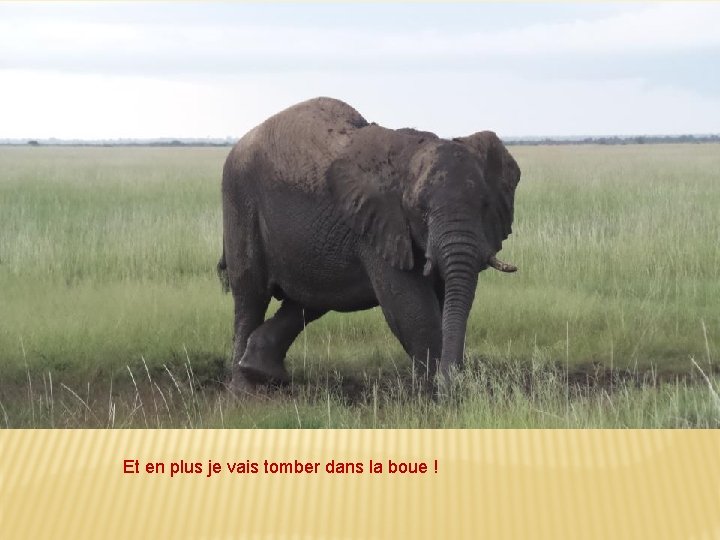 Et en plus je vais tomber dans la boue ! 