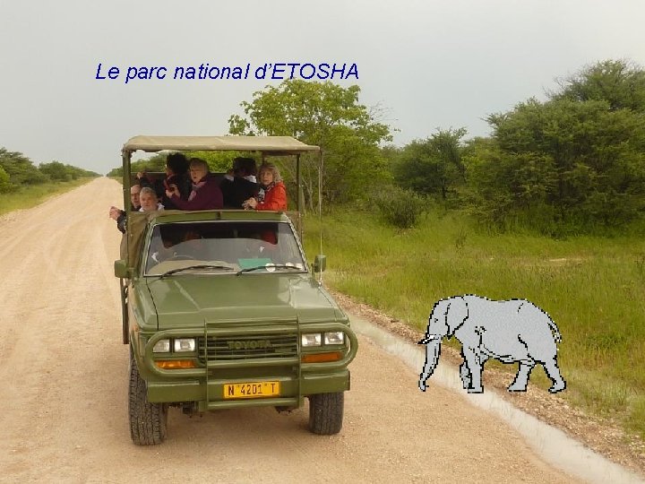 Le parc national d’ETOSHA 