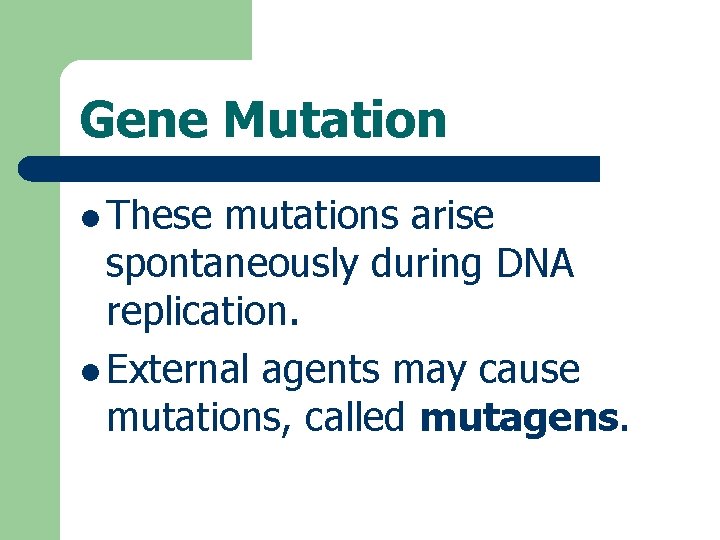 Gene Mutation l These mutations arise spontaneously during DNA replication. l External agents may