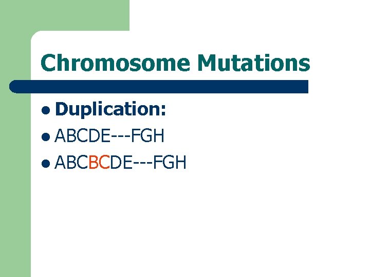 Chromosome Mutations l Duplication: l ABCDE---FGH l ABCBCDE---FGH 