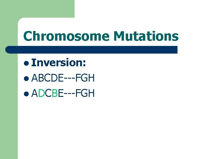 Chromosome Mutations l Inversion: l ABCDE---FGH l ADCBE---FGH 