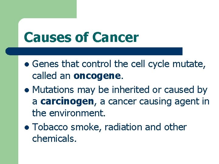 Causes of Cancer Genes that control the cell cycle mutate, called an oncogene. l
