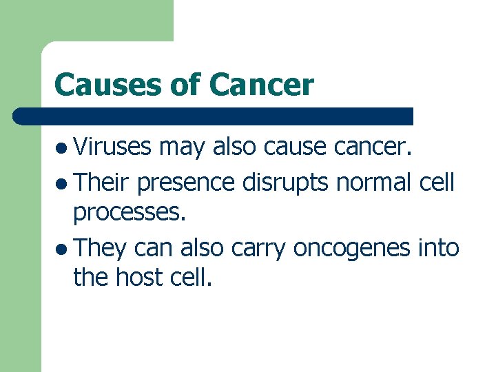 Causes of Cancer l Viruses may also cause cancer. l Their presence disrupts normal