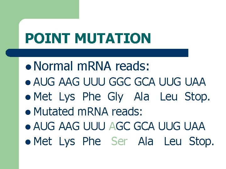 POINT MUTATION l Normal l AUG m. RNA reads: AAG UUU GGC GCA UUG