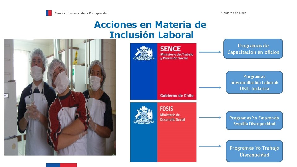 Servicio Nacional de la Discapacidad Gobierno de Chile Acciones en Materia de Inclusión Laboral
