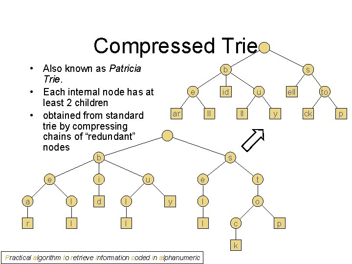 Compressed Trie • Also known as Patricia Trie. • Each internal node has at