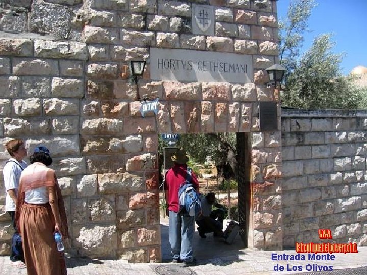 Entrada Monte de Los Olivos 