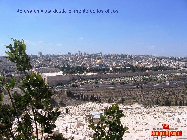 Jerusalén vista desde el monte de los olivos 