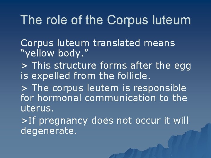The role of the Corpus luteum translated means “yellow body. ” > This structure