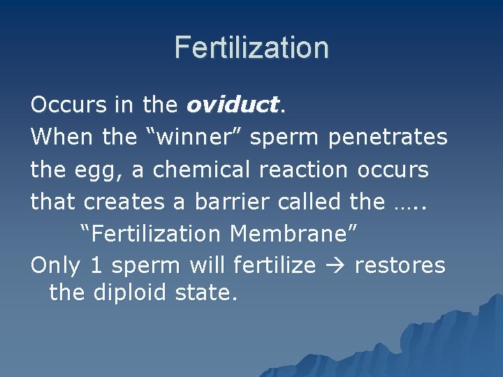 Fertilization Occurs in the oviduct. When the “winner” sperm penetrates the egg, a chemical