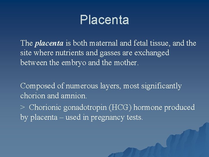 Placenta The placenta is both maternal and fetal tissue, and the site where nutrients