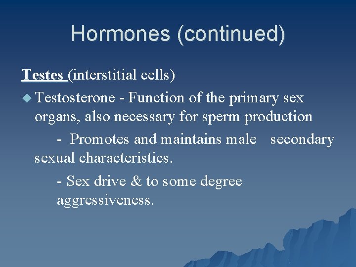 Hormones (continued) Testes (interstitial cells) u Testosterone - Function of the primary sex organs,