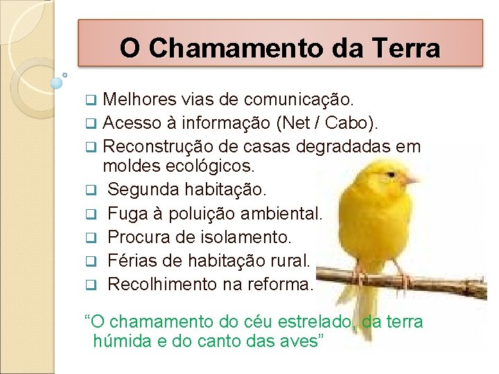 O Chamamento da Terra Melhores vias de comunicação. q Acesso à informação (Net /