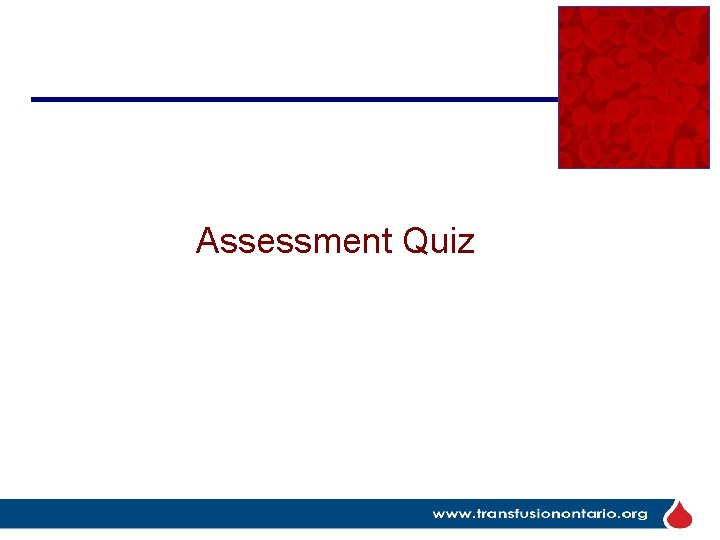 Assessment Quiz 