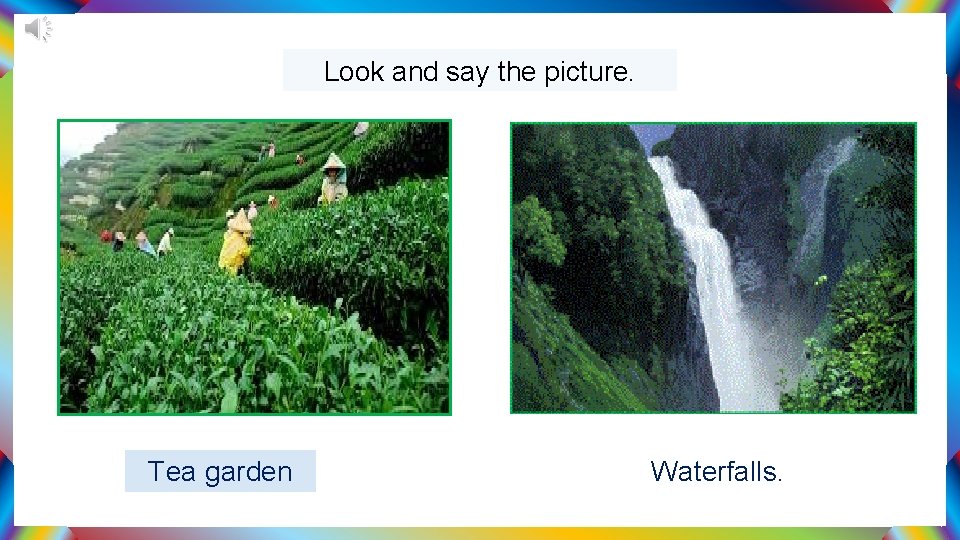 Look and say the picture. Tea garden Waterfalls. 