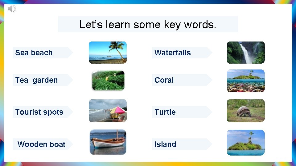 Let’s learn some key words. Sea beach Waterfalls Tea garden Coral Tourist spots Turtle