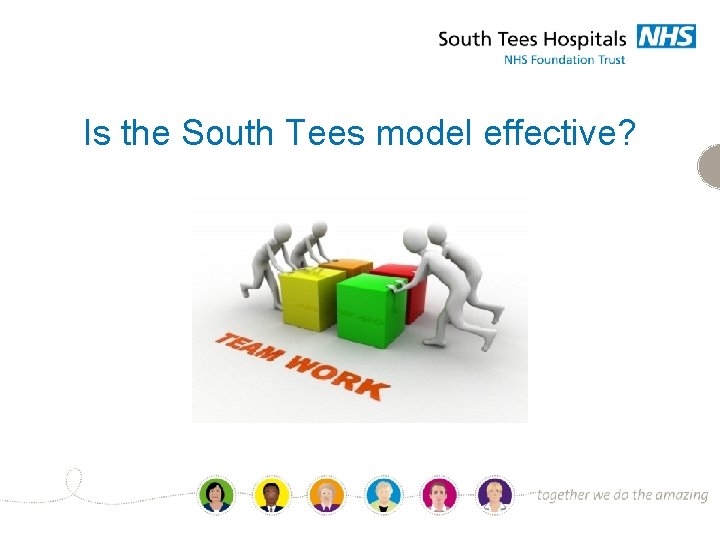 Is the South Tees model effective? 