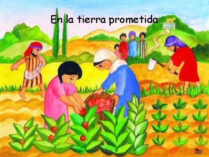 En la tierra prometida 