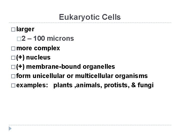 Eukaryotic Cells � larger � 2 – 100 microns � more complex � (+)