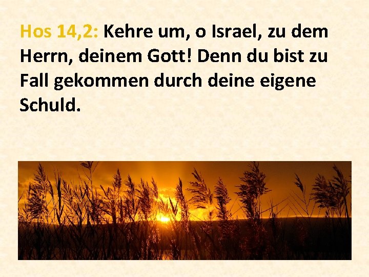 Hos 14, 2: Kehre um, o Israel, zu dem Herrn, deinem Gott! Denn du