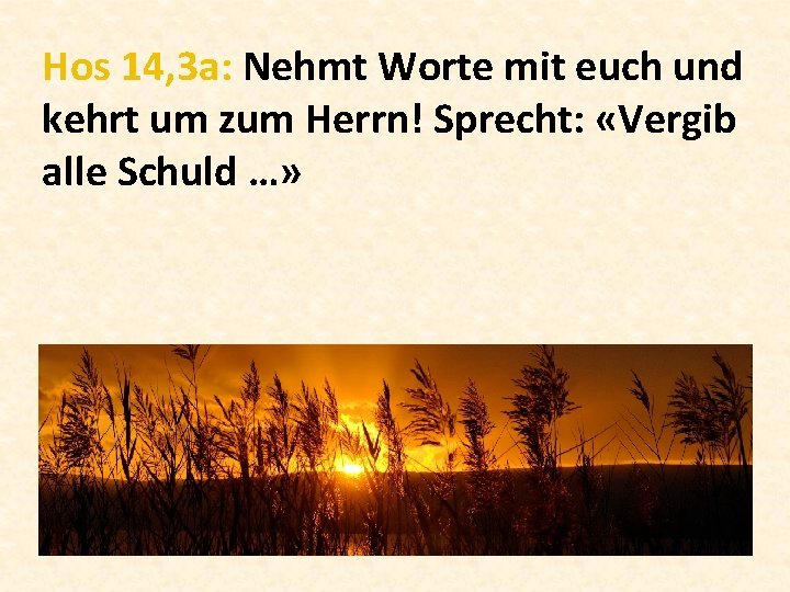 Hos 14, 3 a: Nehmt Worte mit euch und kehrt um zum Herrn! Sprecht: