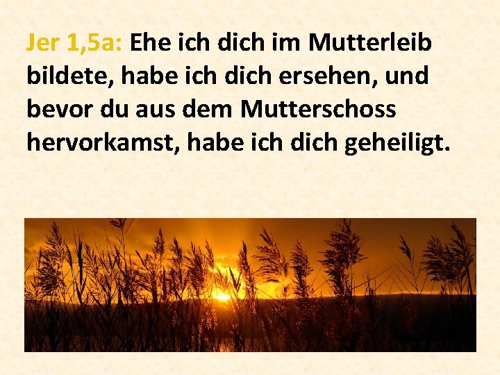 Jer 1, 5 a: Ehe ich dich im Mutterleib bildete, habe ich dich ersehen,