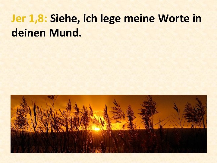 Jer 1, 8: Siehe, ich lege meine Worte in deinen Mund. 