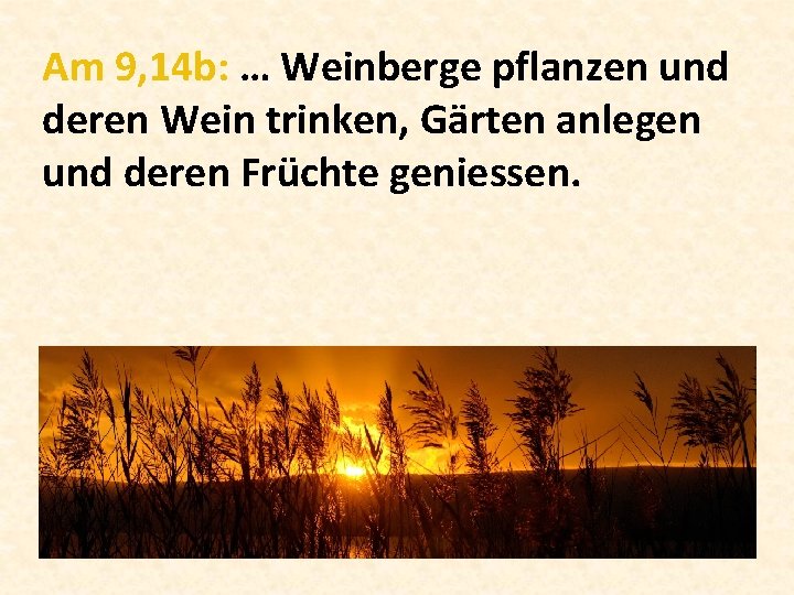 Am 9, 14 b: … Weinberge pflanzen und deren Wein trinken, Gärten anlegen und