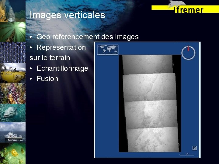 Images verticales • Geo référencement des images • Représentation sur le terrain • Echantillonnage