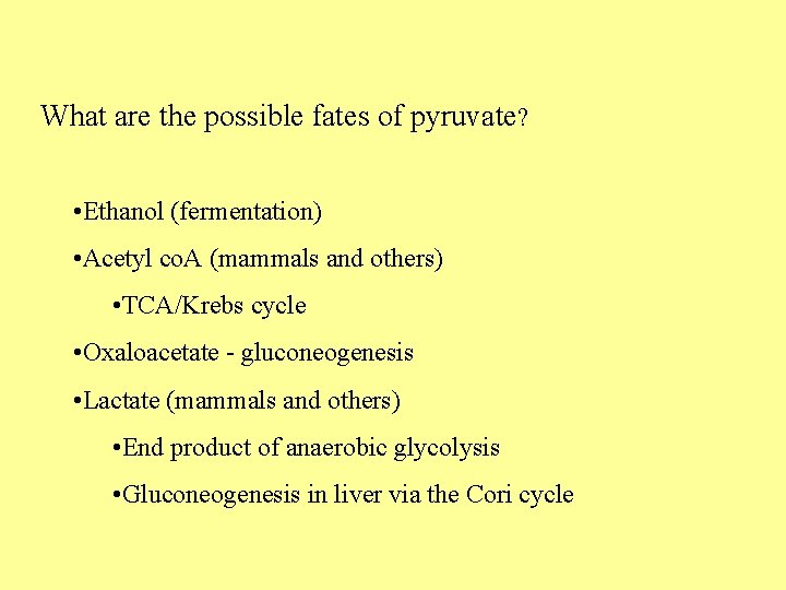What are the possible fates of pyruvate? • Ethanol (fermentation) • Acetyl co. A