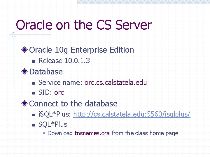 Oracle on the CS Server Oracle 10 g Enterprise Edition n Release 10. 0.