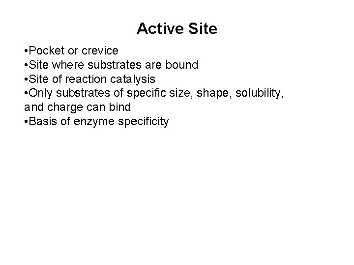 Active Site • Pocket or crevice • Site where substrates are bound • Site Active Site • Pocket or crevice • Site where substrates are bound • Site