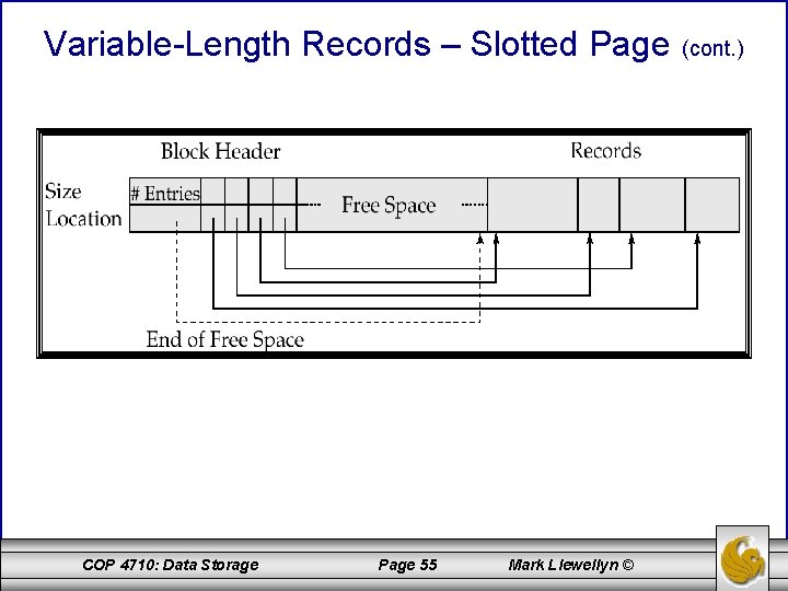 Variable-Length Records – Slotted Page COP 4710: Data Storage Page 55 Mark Llewellyn © Variable-Length Records – Slotted Page COP 4710: Data Storage Page 55 Mark Llewellyn ©